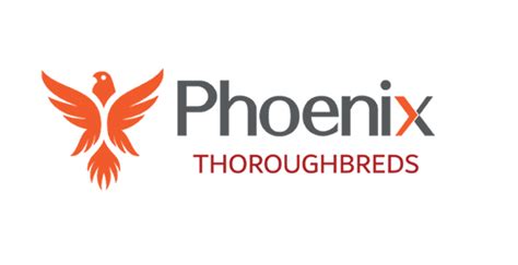 aml horse racing|Phoenix Thoroughbreds banned from running horses .